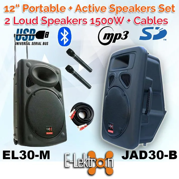 1500W Active and Passive Portable Bluetooth Sound System Speakers with 2 Microphones