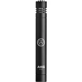 AKG 3101H00410 P170 Small-Diaphragm Condenser Microphone (Black)