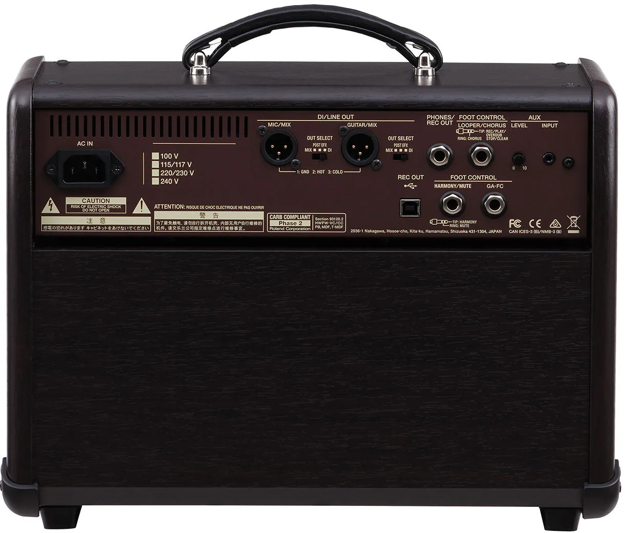 Boss Acoustic Singer Live Acoustic Amp